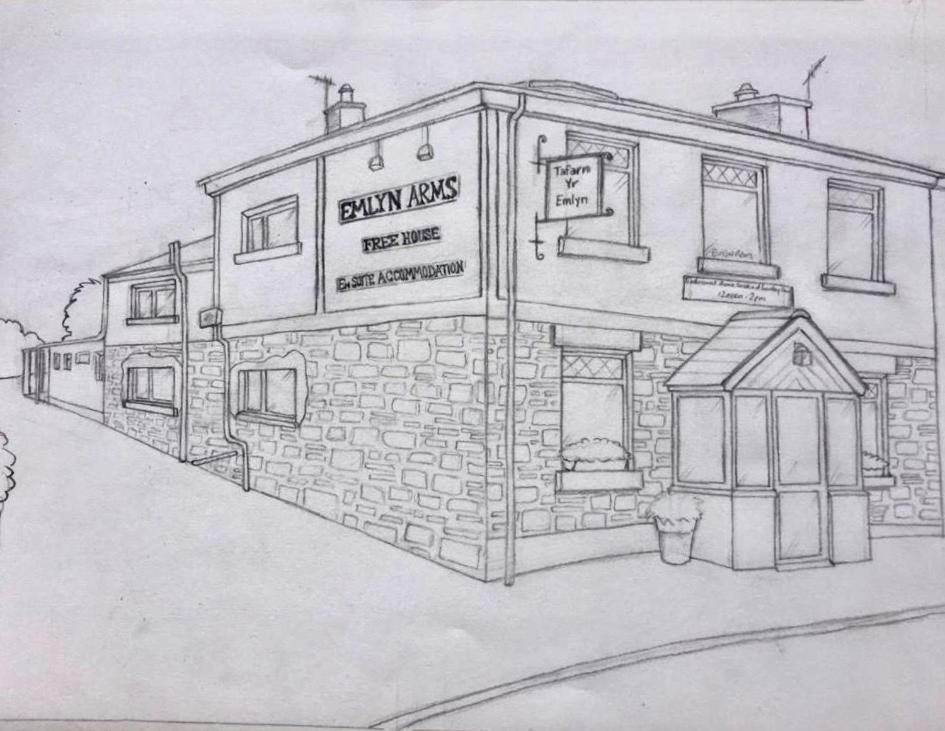 Emlyn Arms Bed & Breakfast Llanarthney Exterior photo